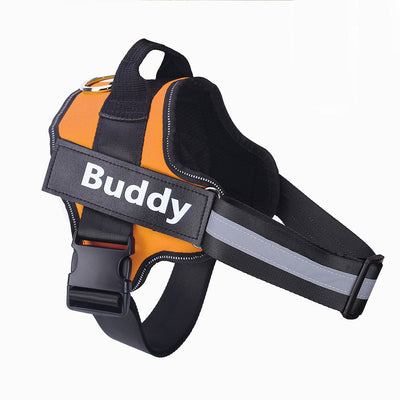 Personalized Dog Harness Vest