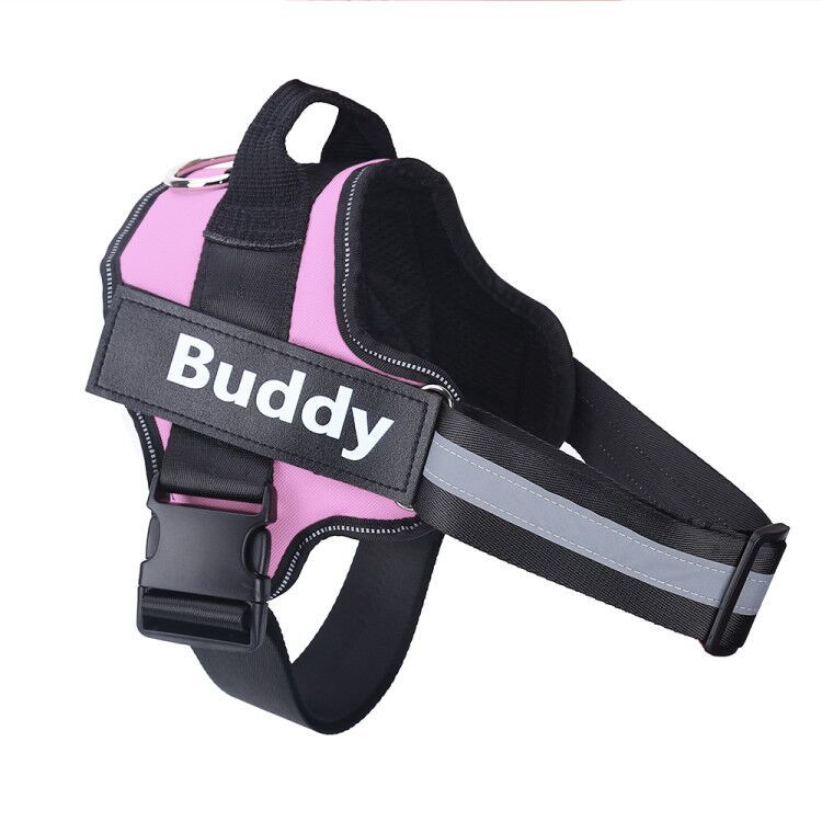 Personalized Dog Harness Vest